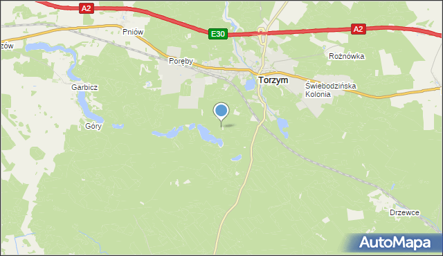 mapa Leśniczówka Torzym, Leśniczówka Torzym na mapie Targeo